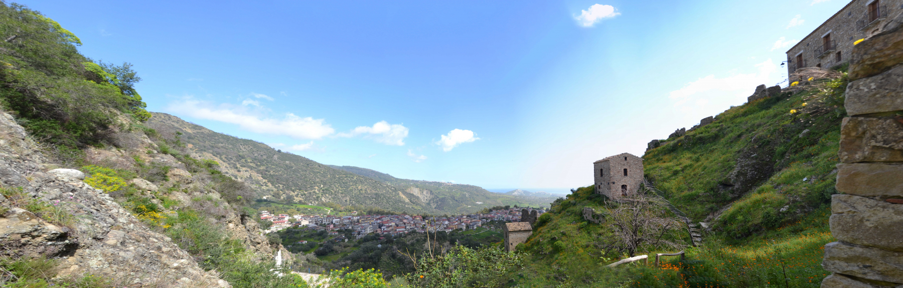 Precacore